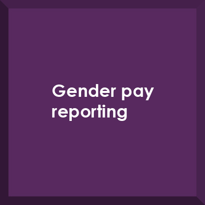 Gender pay reporting button
