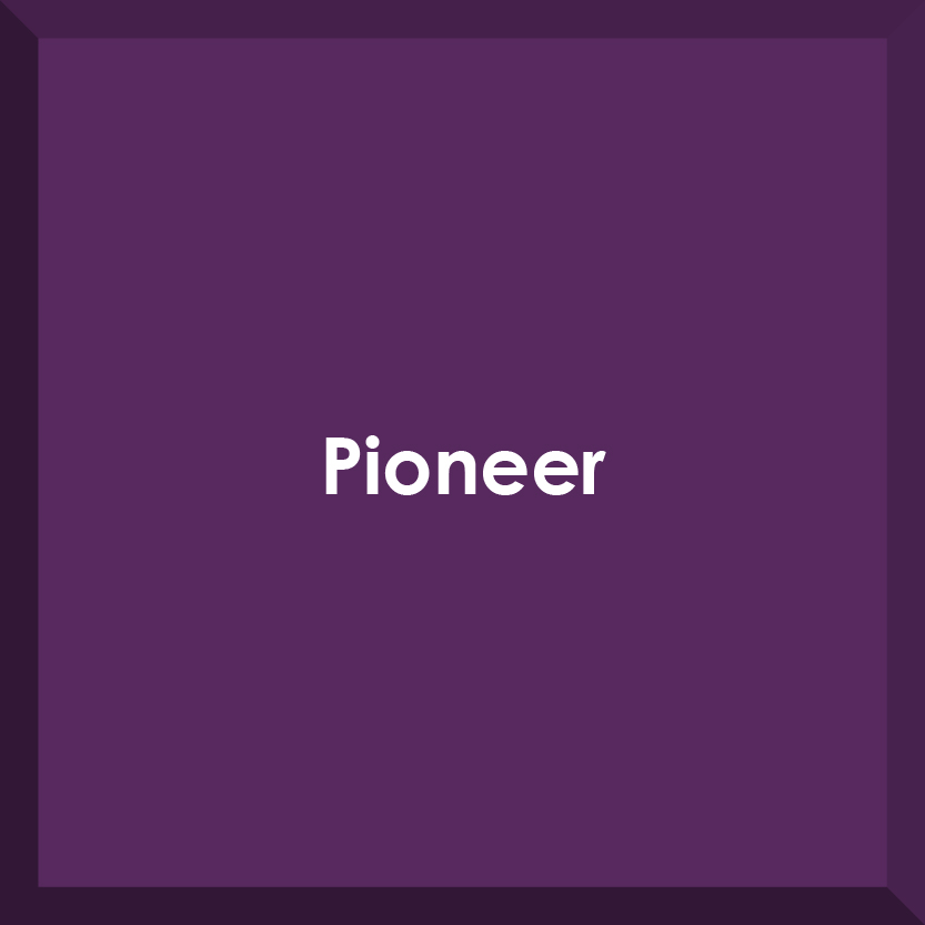 Box with the word Pioneer inside